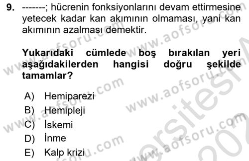 Yaşlılıkta Nörolojik Temelli Durumların Bakım ve Rehabilitasyonu Dersi 2023 - 2024 Yılı (Vize) Ara Sınav Soruları 9. Soru