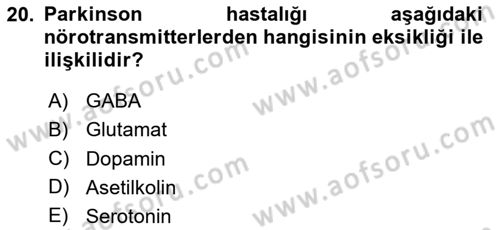 Yaşlılıkta Nörolojik Temelli Durumların Bakım ve Rehabilitasyonu Dersi 2024 - 2025 Yılı (Vize) Ara Sınav Soruları 20. Soru