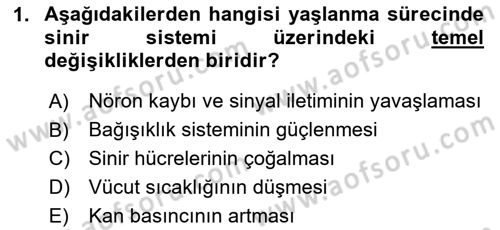 Yaşlılıkta Nörolojik Temelli Durumların Bakım ve Rehabilitasyonu Dersi 2024 - 2025 Yılı (Final) Dönem Sonu Sınav Soruları 1. Soru
