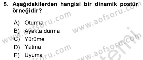 Yaşlılıkta Nörolojik Temelli Durumların Bakım ve Rehabilitasyonu Dersi 2024 - 2025 Yılı (Final) Dönem Sonu Sınav Soruları 5. Soru