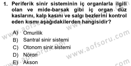Yaşlılıkta Nörolojik Temelli Durumların Bakım ve Rehabilitasyonu Dersi 2024 - 2025 Yılı Yaz Okulu Sınav Soruları 1. Soru