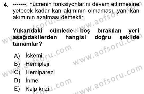 Yaşlılıkta Nörolojik Temelli Durumların Bakım ve Rehabilitasyonu Dersi 2024 - 2025 Yılı Yaz Okulu Sınav Soruları 4. Soru