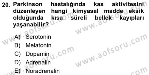 Yaşlılıkta Nörolojik Temelli Durumların Bakım ve Rehabilitasyonu Dersi 2025 - 2026 Yılı (Vize) Ara Sınav Soruları 20. Soru