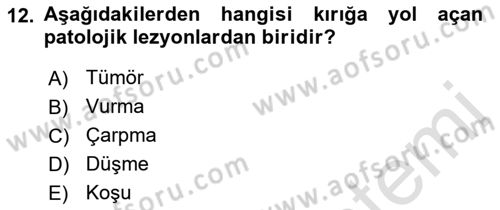 Ortopedik Rehabilitasyon Dersi 2018 - 2019 Yılı 3 Ders Sınav Soruları 12. Soru