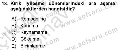 Ortopedik Rehabilitasyon Dersi 2018 - 2019 Yılı 3 Ders Sınav Soruları 13. Soru