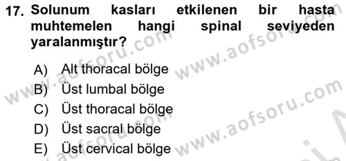 Ortopedik Rehabilitasyon Dersi 2018 - 2019 Yılı 3 Ders Sınav Soruları 17. Soru