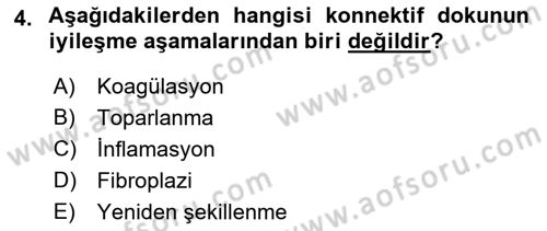 Ortopedik Rehabilitasyon Dersi 2018 - 2019 Yılı 3 Ders Sınav Soruları 4. Soru