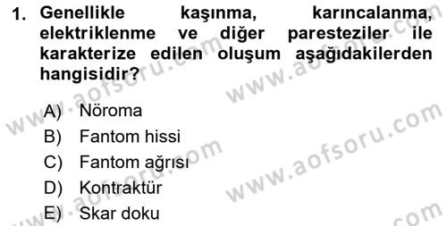 Ortopedik Rehabilitasyon Dersi 2018 - 2019 Yılı (Vize) Ara Sınavı 1. Soru