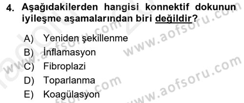 Ortopedik Rehabilitasyon Dersi 2018 - 2019 Yılı (Vize) Ara Sınav Soruları 4. Soru