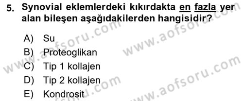 Ortopedik Rehabilitasyon Dersi 2018 - 2019 Yılı (Vize) Ara Sınav Soruları 5. Soru