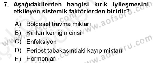 Ortopedik Rehabilitasyon Dersi 2018 - 2019 Yılı (Vize) Ara Sınav Soruları 7. Soru