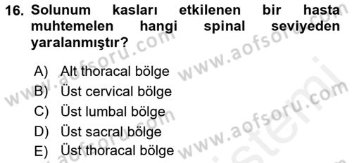 Ortopedik Rehabilitasyon Dersi 2018 - 2019 Yılı (Final) Dönem Sonu Sınav Soruları 16. Soru
