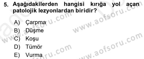 Ortopedik Rehabilitasyon Dersi 2018 - 2019 Yılı (Final) Dönem Sonu Sınav Soruları 5. Soru