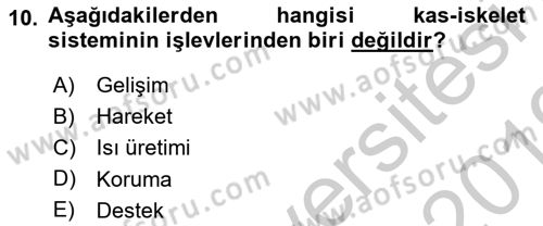 Ortopedik Rehabilitasyon Dersi 2018 - 2019 Yılı Yaz Okulu Sınavı 10. Soru