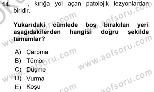 Ortopedik Rehabilitasyon Dersi 2018 - 2019 Yılı Yaz Okulu Sınavı 14. Soru