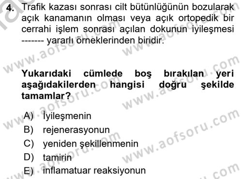 Ortopedik Rehabilitasyon Dersi 2018 - 2019 Yılı Yaz Okulu Sınavı 4. Soru