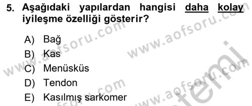 Ortopedik Rehabilitasyon Dersi 2018 - 2019 Yılı Yaz Okulu Sınavı 5. Soru