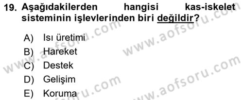 Ortopedik Rehabilitasyon Dersi 2019 - 2020 Yılı (Vize) Ara Sınav Soruları 19. Soru