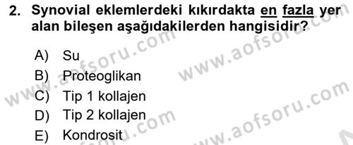 Ortopedik Rehabilitasyon Dersi 2019 - 2020 Yılı (Vize) Ara Sınav Soruları 2. Soru
