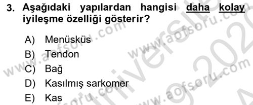 Ortopedik Rehabilitasyon Dersi 2019 - 2020 Yılı (Vize) Ara Sınav Soruları 3. Soru