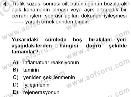 Ortopedik Rehabilitasyon Dersi 2019 - 2020 Yılı (Vize) Ara Sınav Soruları 4. Soru