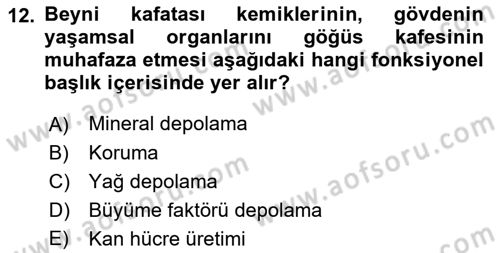Ortopedik Rehabilitasyon Dersi 2019 - 2020 Yılı (Final) Dönem Sonu Sınav Soruları 12. Soru