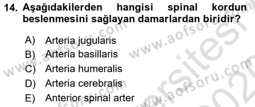 Ortopedik Rehabilitasyon Dersi 2019 - 2020 Yılı (Final) Dönem Sonu Sınav Soruları 14. Soru