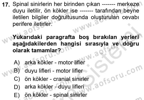 Ortopedik Rehabilitasyon Dersi 2019 - 2020 Yılı (Final) Dönem Sonu Sınav Soruları 17. Soru