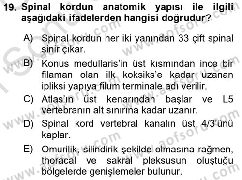 Ortopedik Rehabilitasyon Dersi 2019 - 2020 Yılı (Final) Dönem Sonu Sınav Soruları 19. Soru