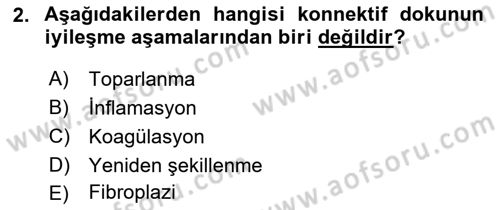 Ortopedik Rehabilitasyon Dersi 2019 - 2020 Yılı (Final) Dönem Sonu Sınav Soruları 2. Soru