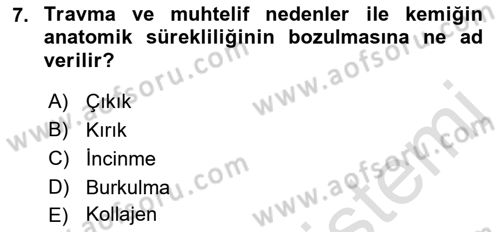 Ortopedik Rehabilitasyon Dersi 2019 - 2020 Yılı (Final) Dönem Sonu Sınav Soruları 7. Soru