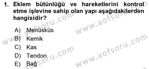 Ortopedik Rehabilitasyon Dersi 2021 - 2022 Yılı (Vize) Ara Sınav Soruları 1. Soru