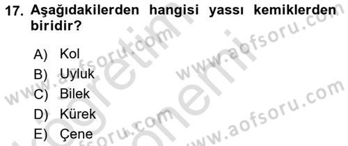 Ortopedik Rehabilitasyon Dersi 2021 - 2022 Yılı (Vize) Ara Sınav Soruları 17. Soru