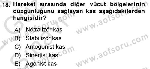Ortopedik Rehabilitasyon Dersi 2021 - 2022 Yılı (Vize) Ara Sınav Soruları 18. Soru