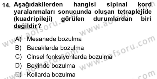 Ortopedik Rehabilitasyon Dersi 2021 - 2022 Yılı (Final) Dönem Sonu Sınav Soruları 14. Soru