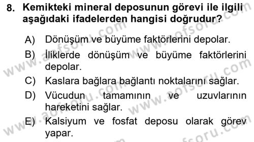 Ortopedik Rehabilitasyon Dersi 2021 - 2022 Yılı (Final) Dönem Sonu Sınav Soruları 8. Soru