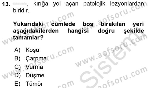 Ortopedik Rehabilitasyon Dersi 2021 - 2022 Yılı Yaz Okulu Sınav Soruları 13. Soru
