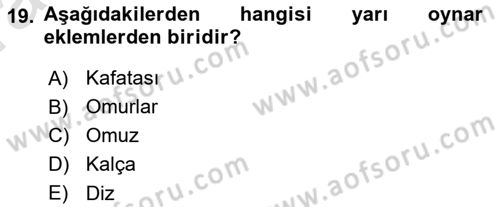 Ortopedik Rehabilitasyon Dersi 2022 - 2023 Yılı (Vize) Ara Sınav Soruları 19. Soru