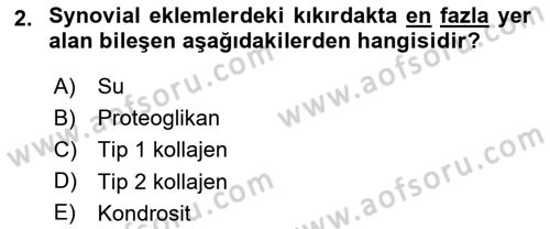 Ortopedik Rehabilitasyon Dersi 2022 - 2023 Yılı (Vize) Ara Sınav Soruları 2. Soru