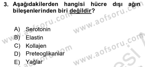 Ortopedik Rehabilitasyon Dersi 2022 - 2023 Yılı (Vize) Ara Sınav Soruları 3. Soru