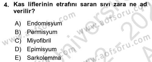 Ortopedik Rehabilitasyon Dersi 2022 - 2023 Yılı (Vize) Ara Sınav Soruları 4. Soru