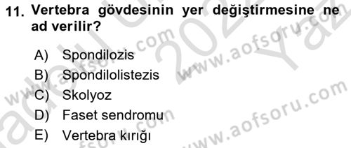 Ortopedik Rehabilitasyon Dersi 2022 - 2023 Yılı Yaz Okulu Sınav Soruları 11. Soru