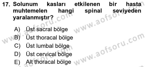 Ortopedik Rehabilitasyon Dersi 2022 - 2023 Yılı Yaz Okulu Sınav Soruları 17. Soru