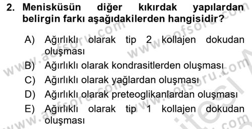 Ortopedik Rehabilitasyon Dersi 2022 - 2023 Yılı Yaz Okulu Sınav Soruları 2. Soru