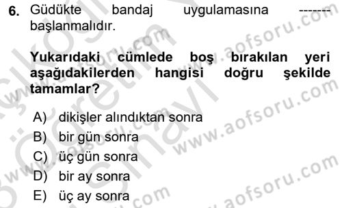 Ortopedik Rehabilitasyon Dersi 2022 - 2023 Yılı Yaz Okulu Sınav Soruları 6. Soru