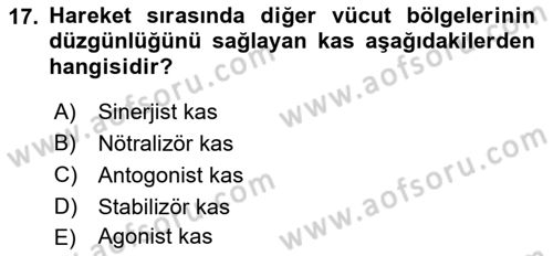 Ortopedik Rehabilitasyon Dersi 2023 - 2024 Yılı (Vize) Ara Sınav Soruları 17. Soru