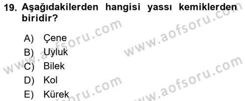Ortopedik Rehabilitasyon Dersi 2023 - 2024 Yılı (Vize) Ara Sınav Soruları 19. Soru