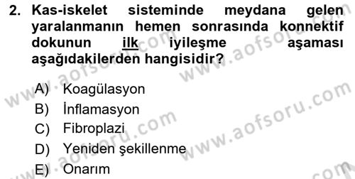 Ortopedik Rehabilitasyon Dersi 2023 - 2024 Yılı (Vize) Ara Sınav Soruları 2. Soru