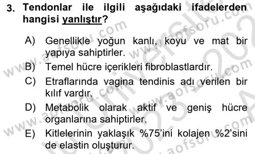 Ortopedik Rehabilitasyon Dersi 2023 - 2024 Yılı (Vize) Ara Sınav Soruları 3. Soru