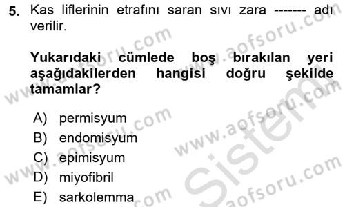 Ortopedik Rehabilitasyon Dersi 2023 - 2024 Yılı (Vize) Ara Sınav Soruları 5. Soru